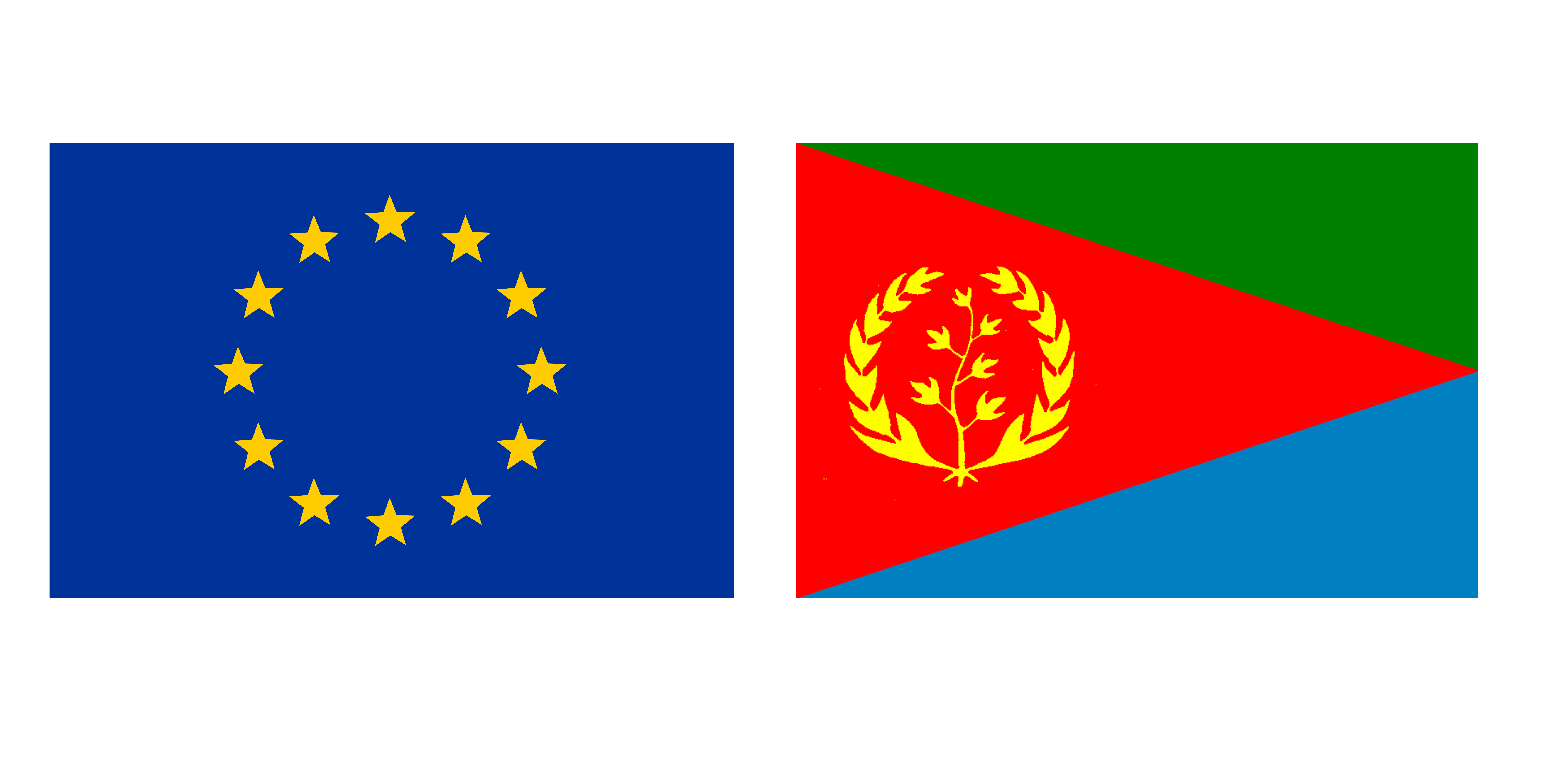 Foundation Human Rights for Eritreans summons european union